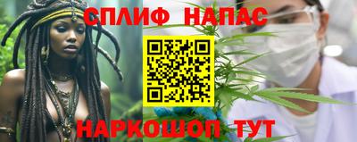 молекула духа Славянск-на-Кубани