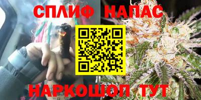 PSILOCYBIN Славгород